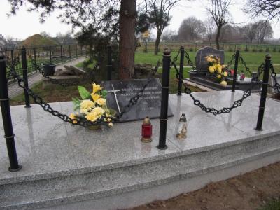 Mogiła zbiorowa Powstańców Śląskich - Zalesie Śląskie