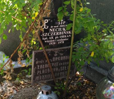 Cmentarz Ewangelicki - Katowice