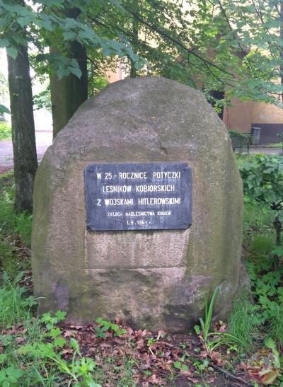 Głaz Leśników - Kobiór