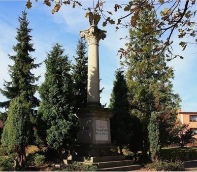 Pomnik poświęcony poległym synom miasta - Zduny